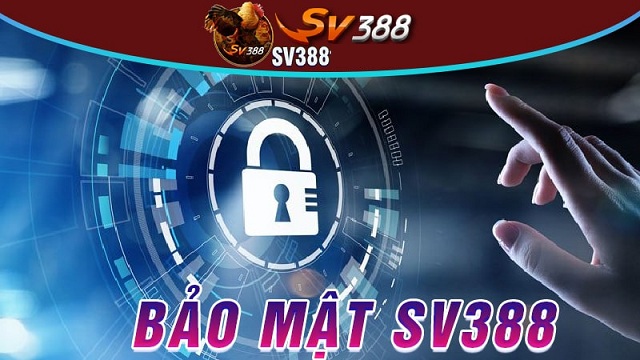 SV388 thu thập thông tin người chơi