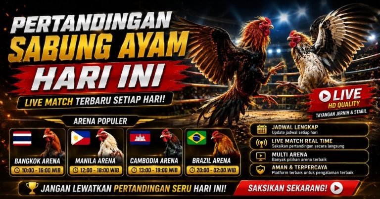 Pertandingan Sabung Ayam Hari Ini