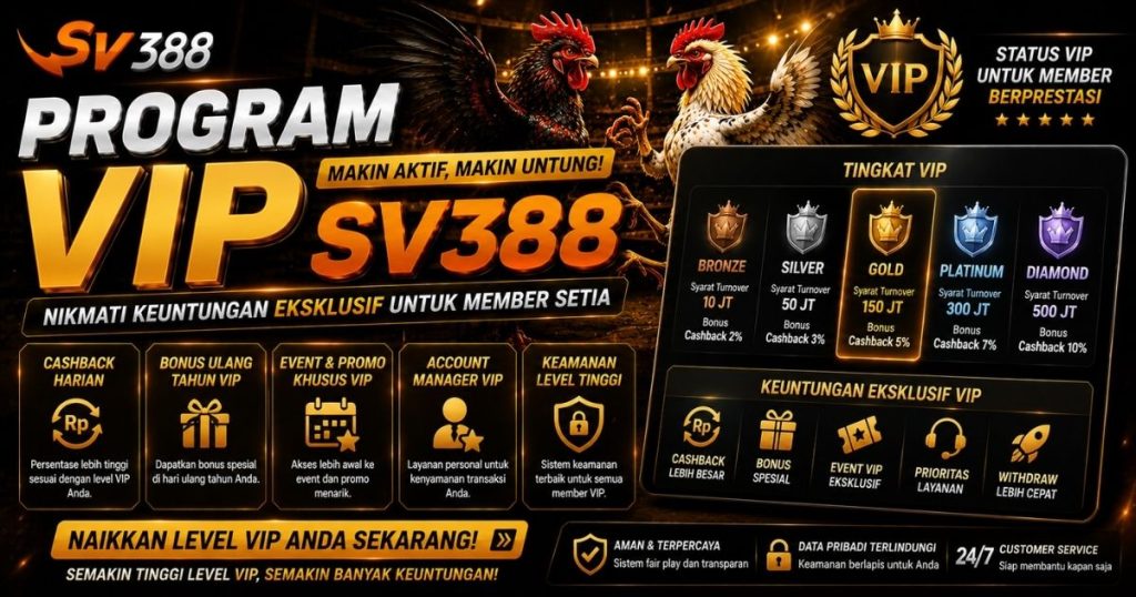 Program VIP SV388